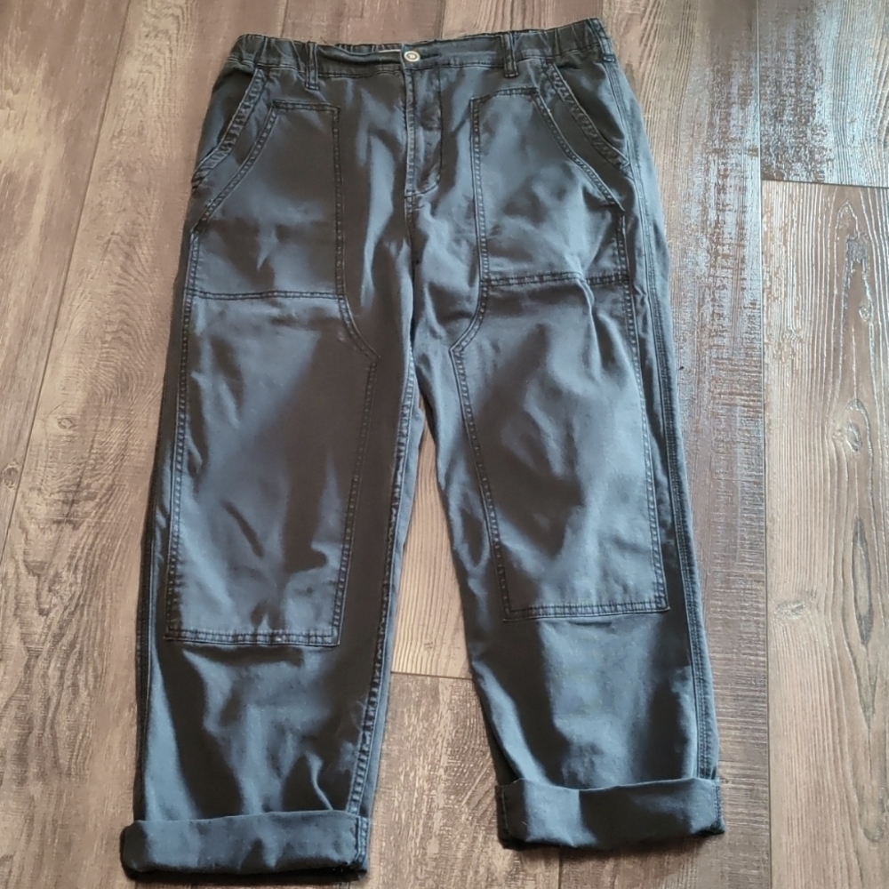 Anthropologie Pilcro The Roamer Pants size 31